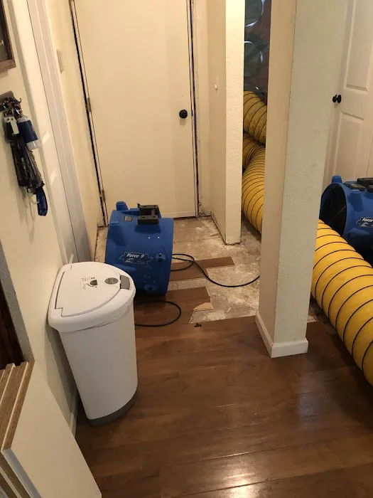 Water Out South Puget Sound Picture 2