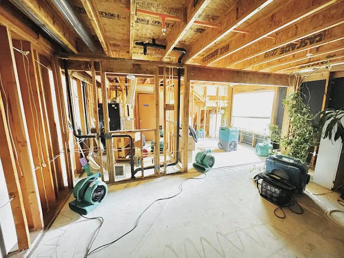 All American Restoration Services Picture 9