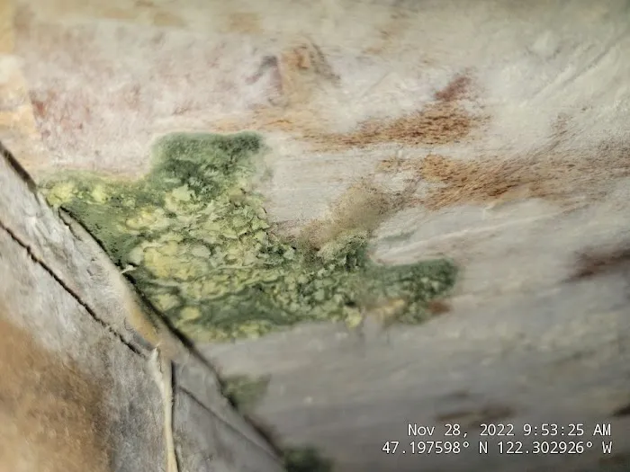 Frontline Fire & Flood Picture 1