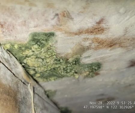 Frontline Fire & Flood