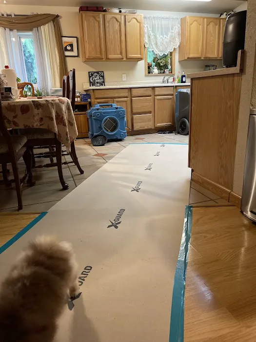 Washington Restorer Picture 2