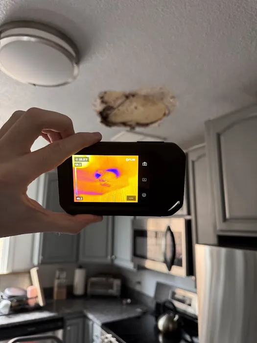 Quick Restoration Picture 8