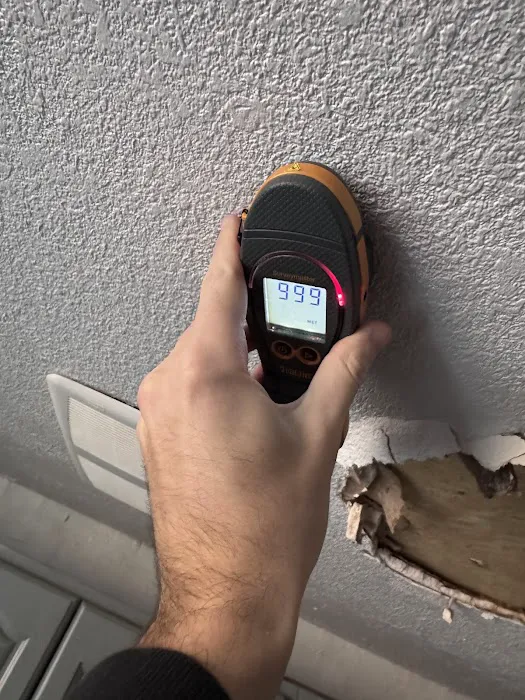 Quick Restoration Picture 2