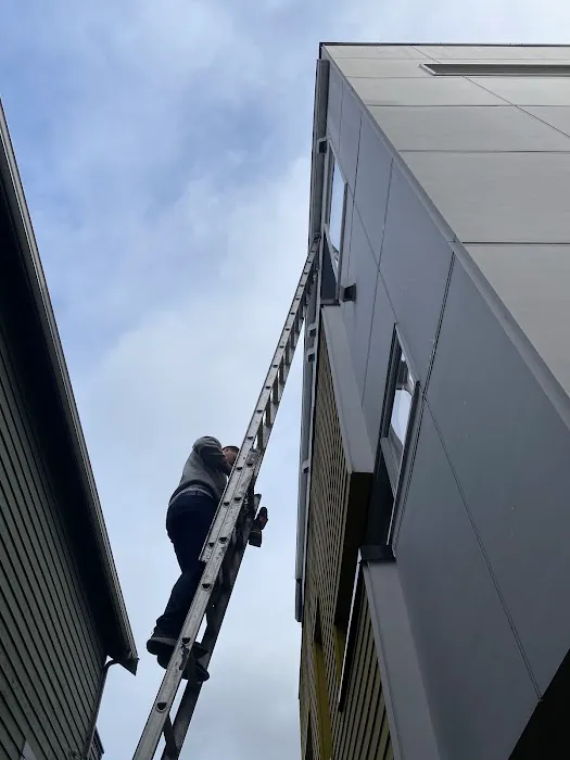 Quick Restoration Picture 7