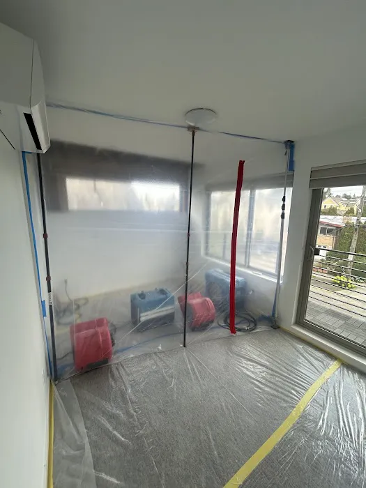 Quick Restoration Picture 1