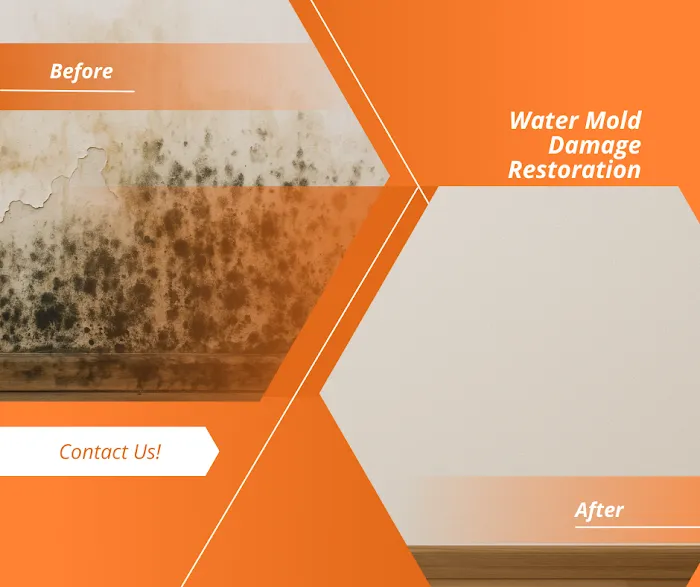 Bellevue Pros Picture 1