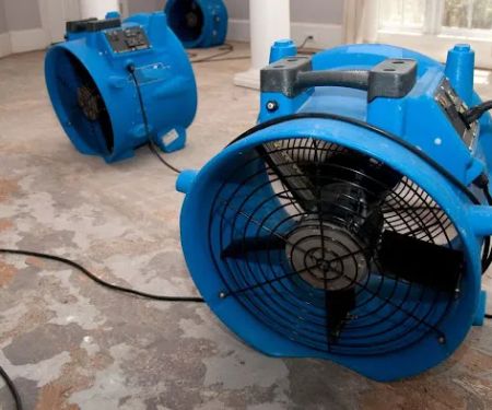 Seattle Water Damage Restoration