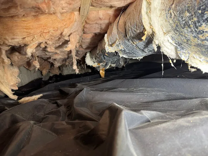 Environment Control North Seattle Restoration Services Picture 2