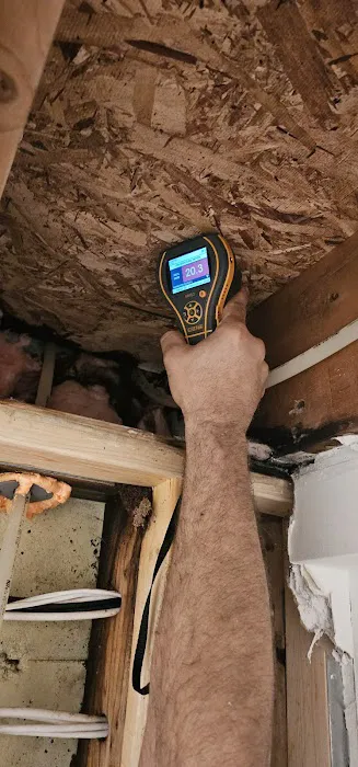 Kaizen estoration Picture 2