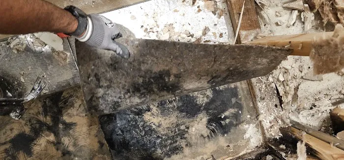 Kaizen estoration Picture 7