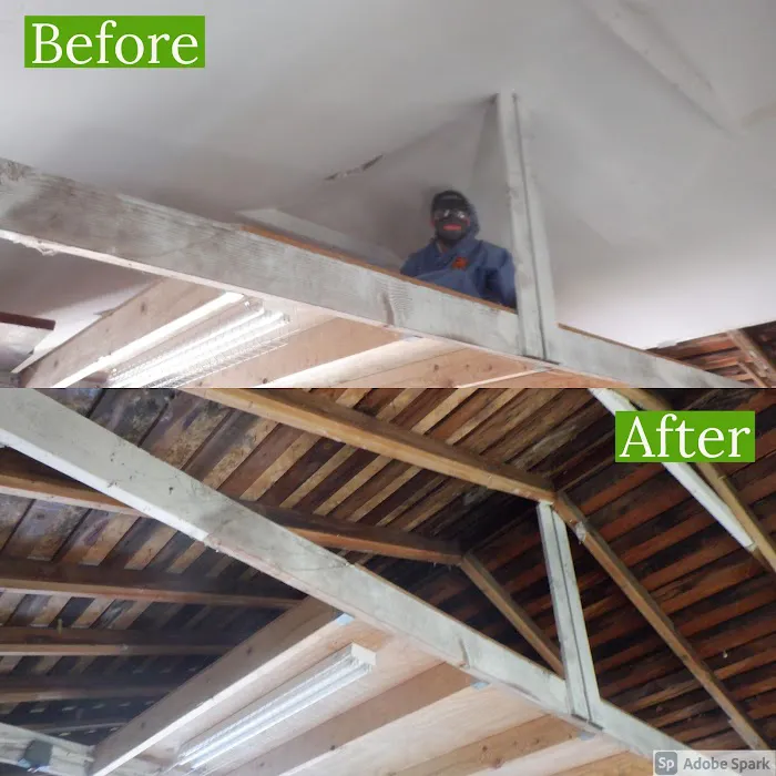 SERVPRO of Kirkland Picture 10