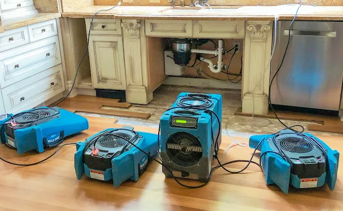 European Restoration Picture 5