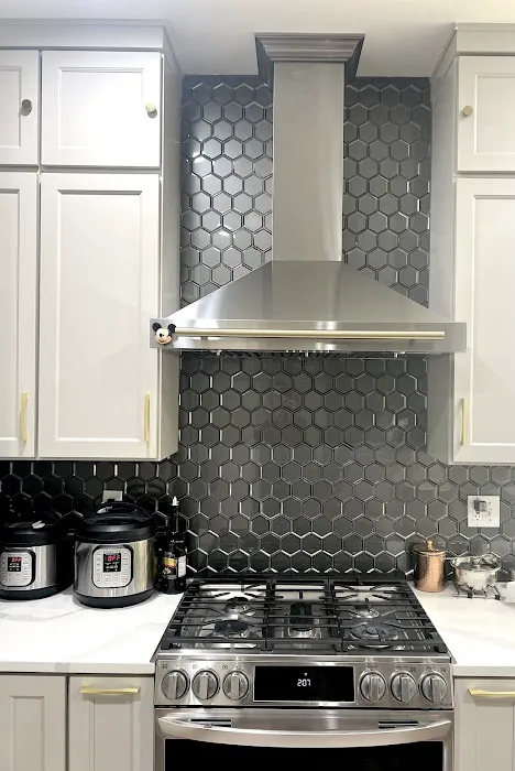 European Restoration Picture 6