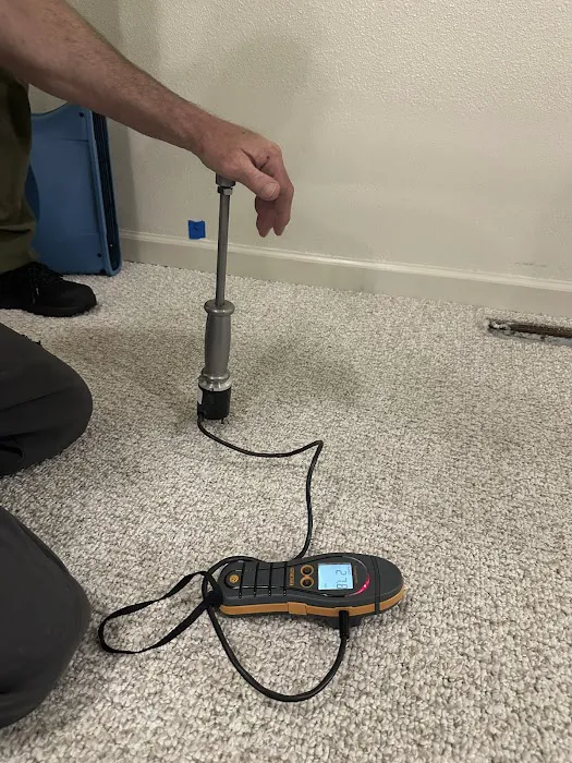 ProRevive Restoration Picture 9