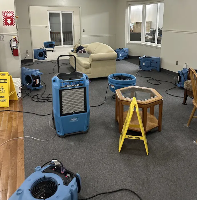 ProRevive Restoration Picture 10