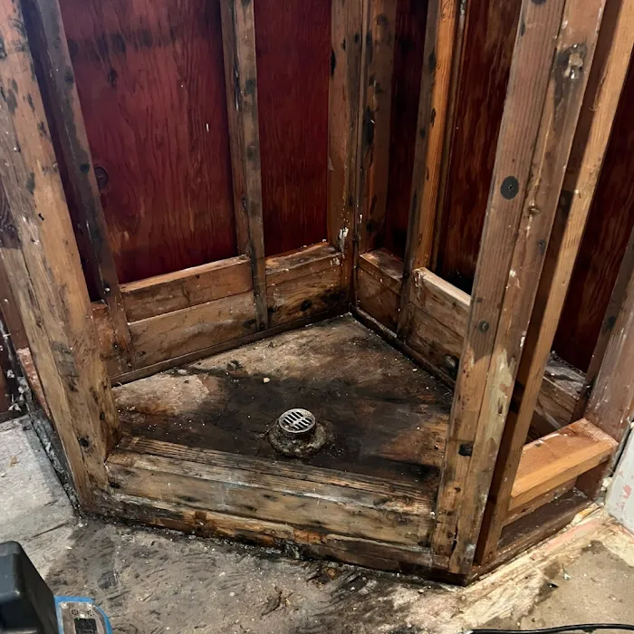 ProRevive Restoration Picture 6