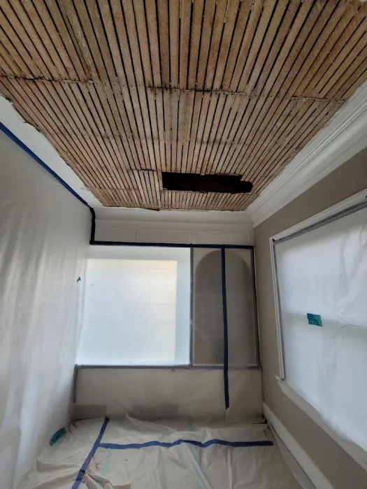 Mr. Mold LLC Picture 8