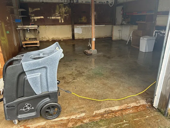 Mr. Mold LLC Picture 3