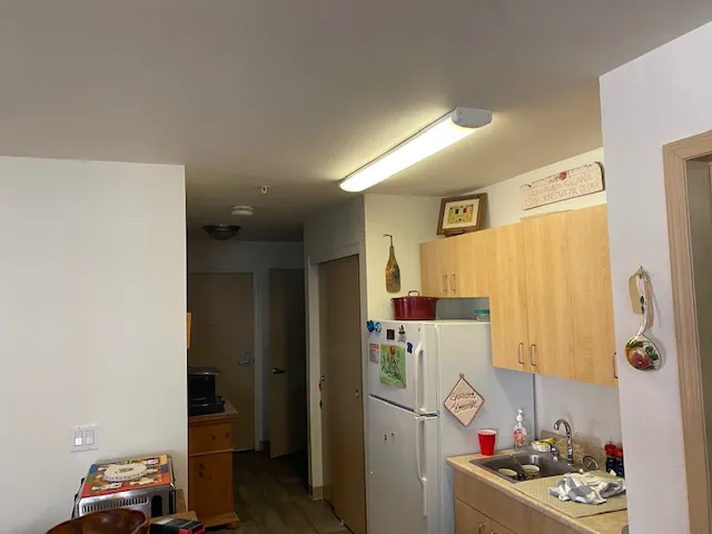 Mr. Mold LLC Picture 2