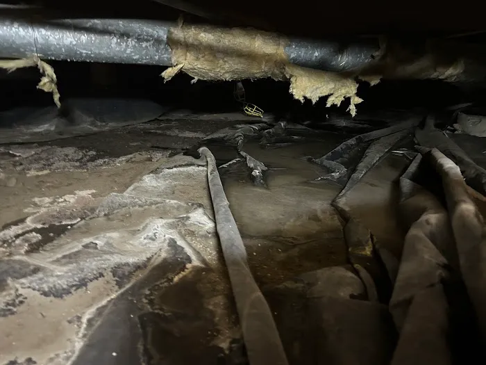 Mr. Mold LLC Picture 6