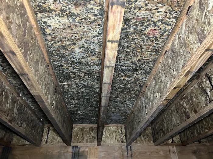 Mr. Mold LLC Picture 5