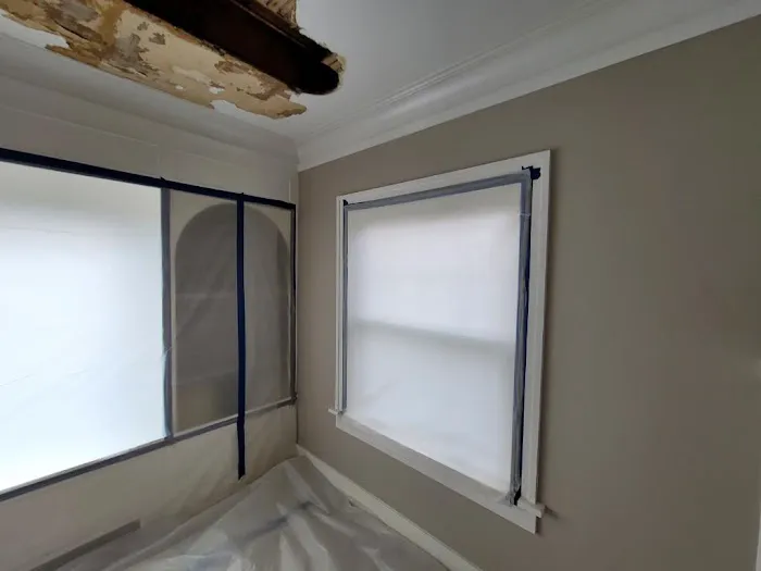 Mr. Mold LLC Picture 1