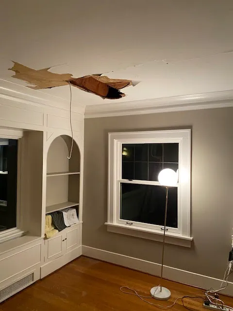 Mr. Mold LLC Picture 4