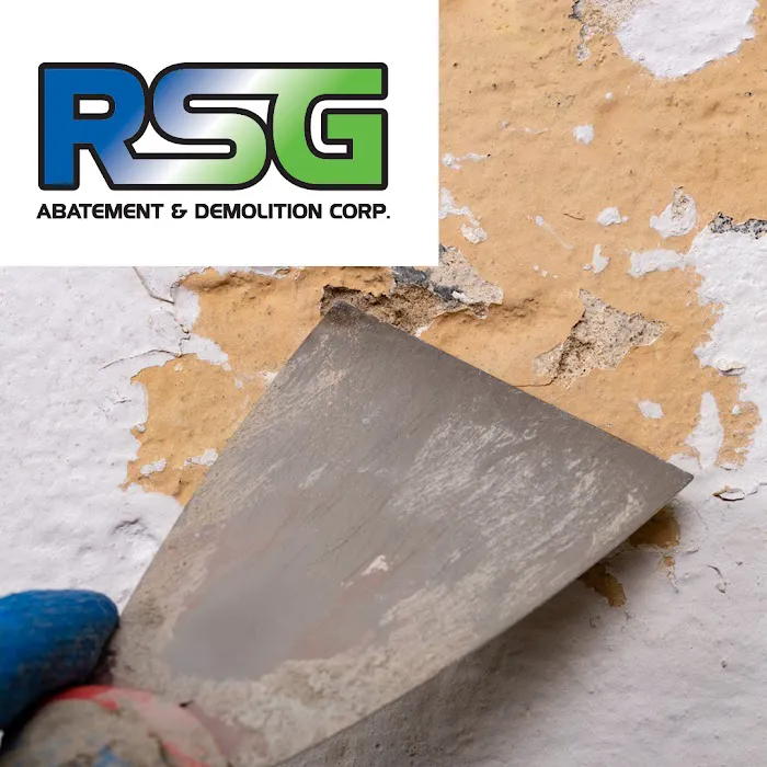 RSG Abatement & Demolition Picture 8