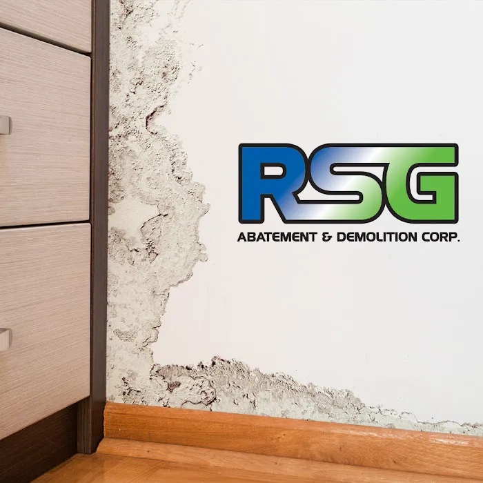 RSG Abatement & Demolition Picture 10