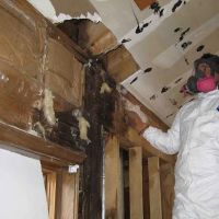 Locke Water Damage Restoration Pros ico