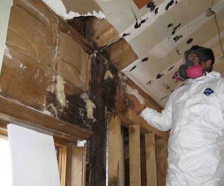 Locke Water Damage Restoration Pros