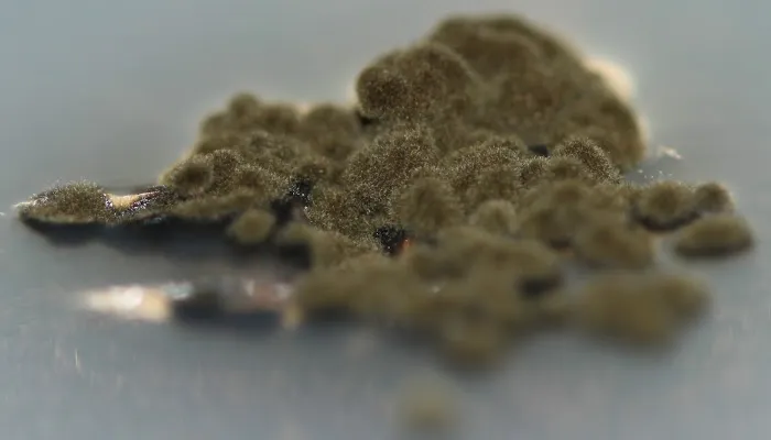 Puget Sound 24/7 Picture 3