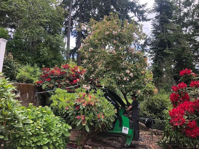 R&R Foundation Specialist Picture 5