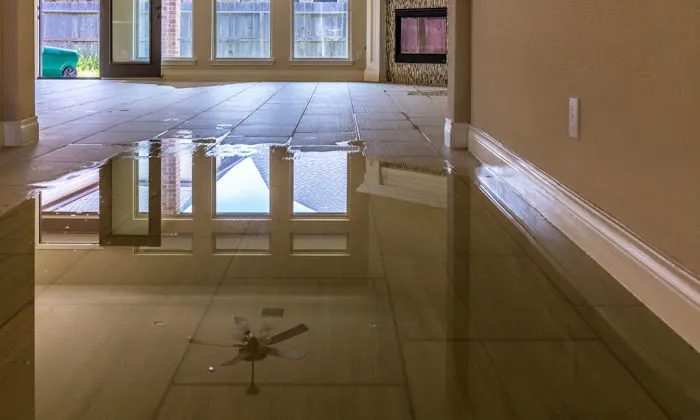 Quick & Easy Mold Picture 8