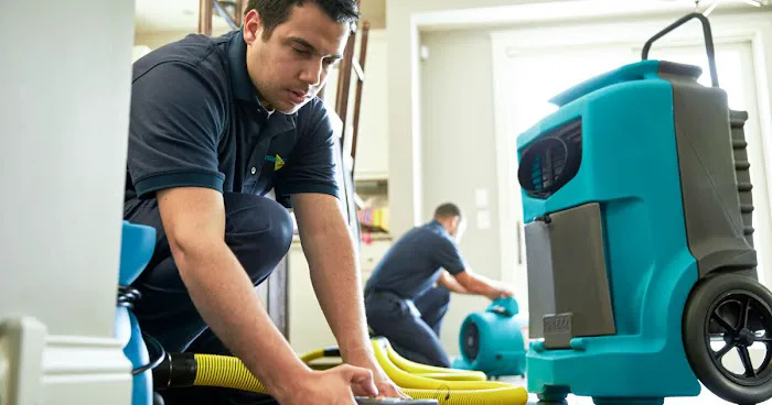 Quick & Easy Mold Picture 9