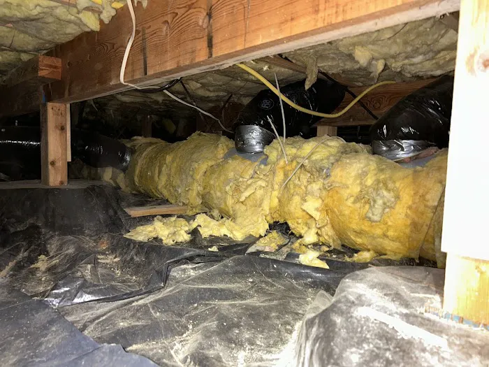 Crawl Pros Picture 3