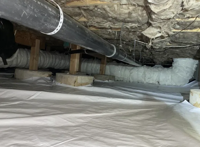 Crawl Pros Picture 1