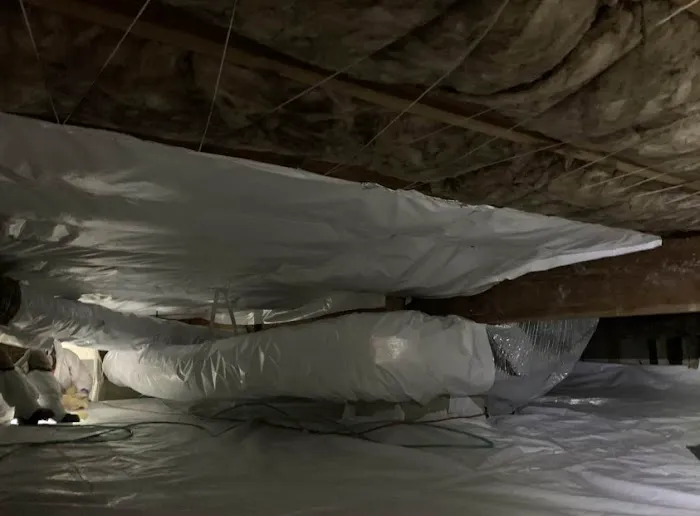 Crawl Pros Picture 9