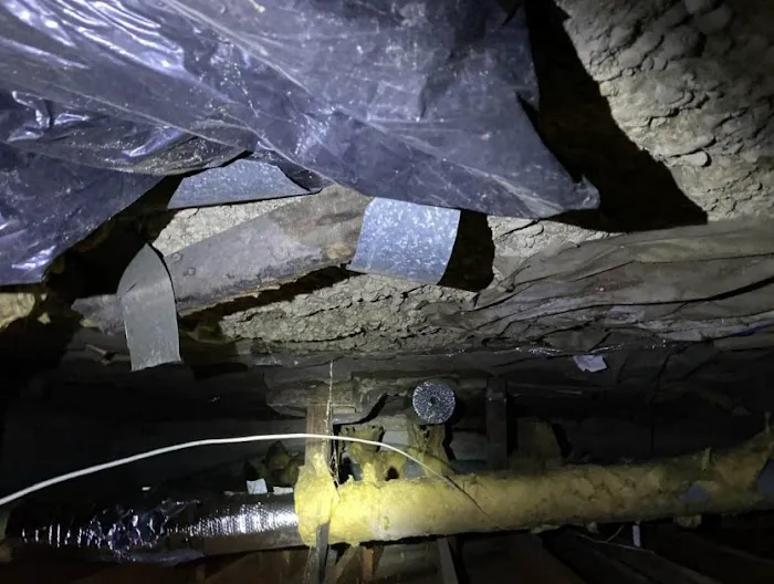 Crawl Pros Picture 10