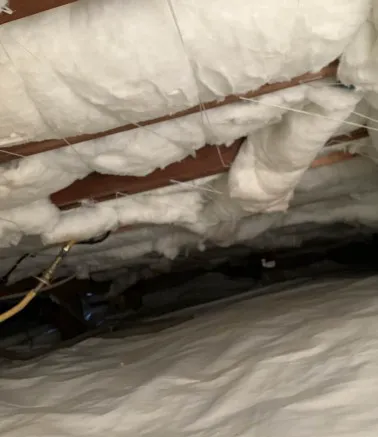 Crawl Pros Picture 8