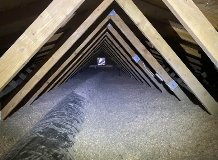 Crawl Pros Picture 2