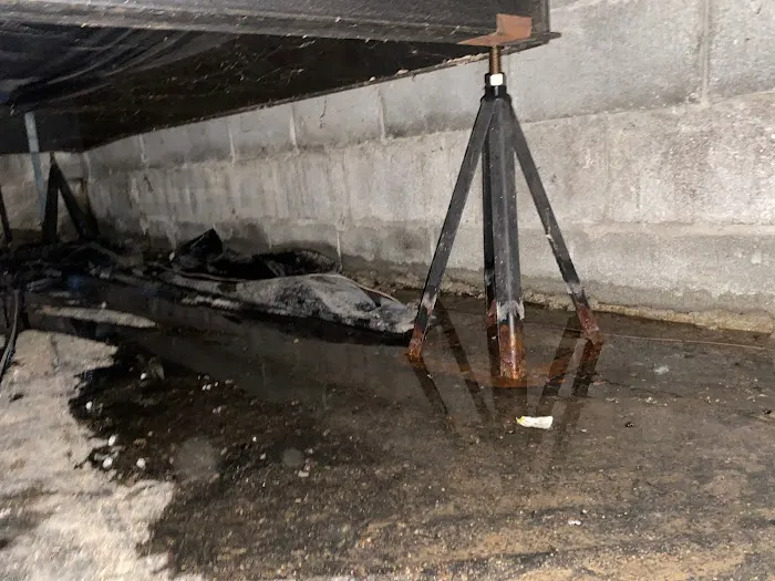 Crawl Pros Picture 7