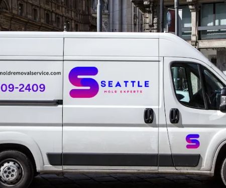 Seattle Mold Experts
