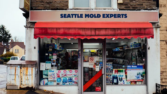 Seattle Mold Experts Picture 2