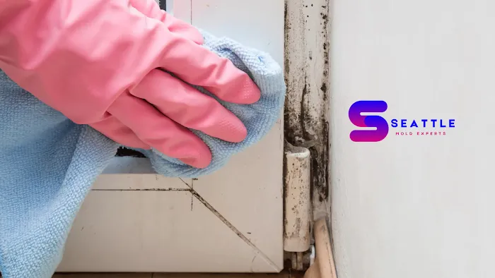 Seattle Mold Experts Picture 8