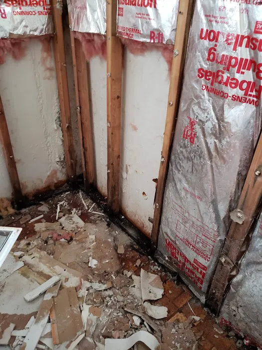 Royal Water Damage Repair Seattle Picture 4