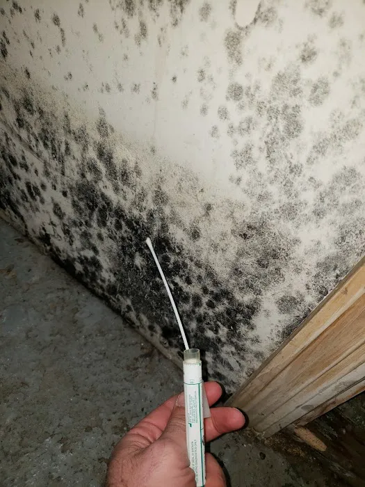 Royal Water Damage Repair Seattle Picture 10