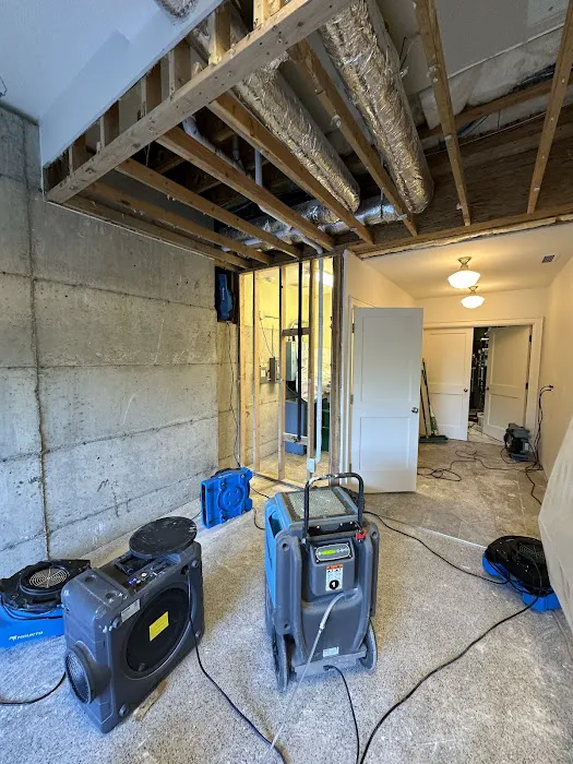 Modern Restoration Picture 9