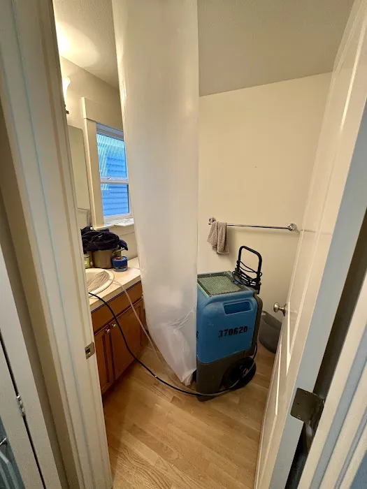 Modern Restoration Picture 6