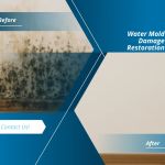 Seattle Water Damage Restoration Pros